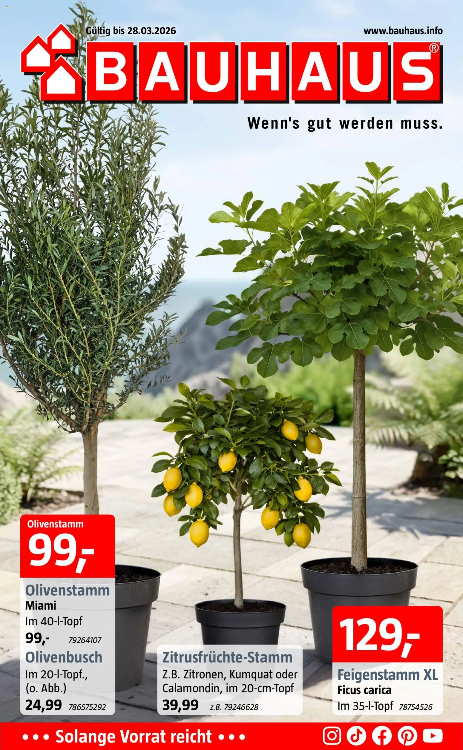 Bauhaus Online Prospekt – gültig ab 16.03.2026 | Seite: 1