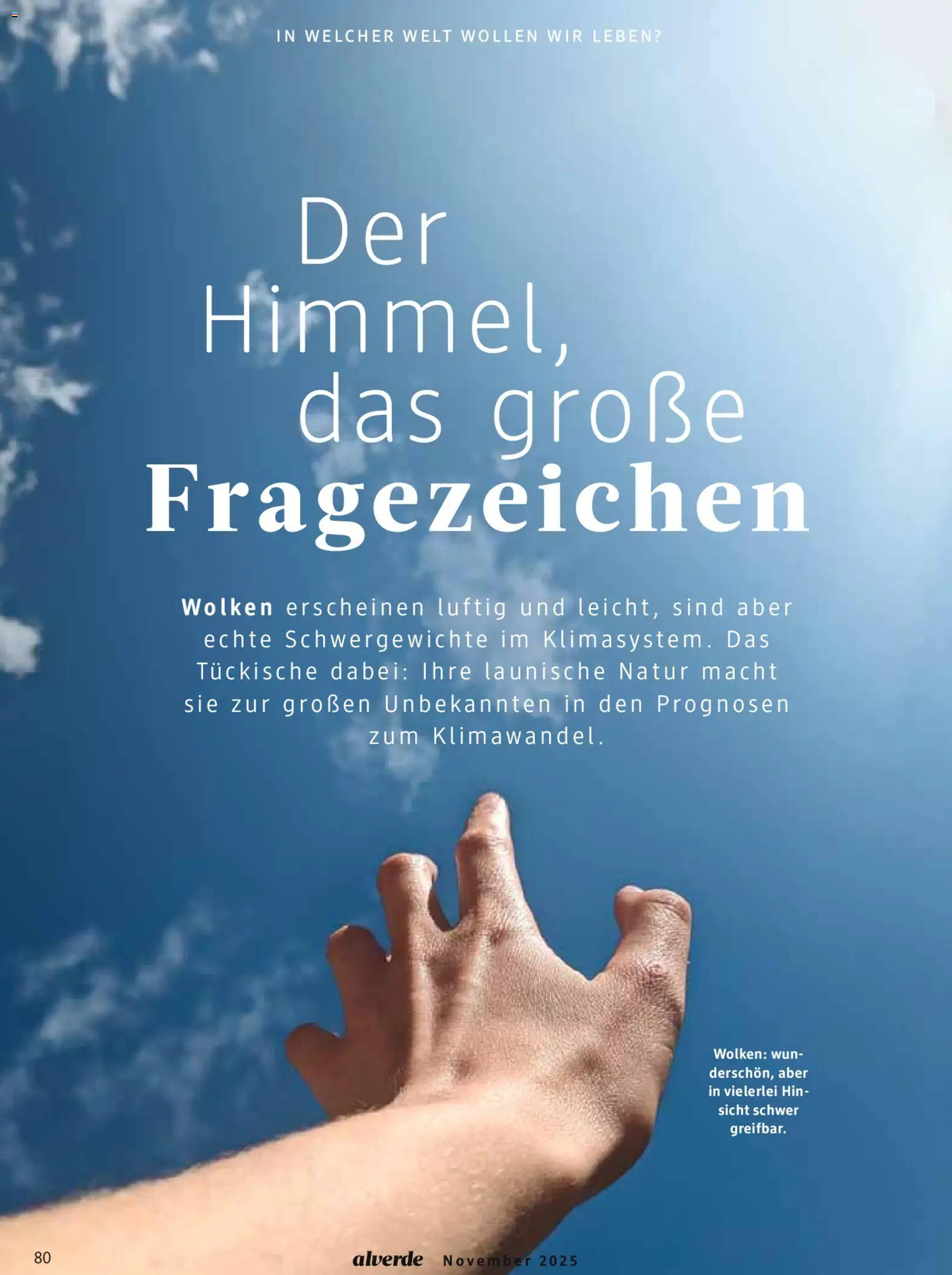 dm drogerie Prospekt 	 – gültig ab 01.11.2025 | Seite: 80