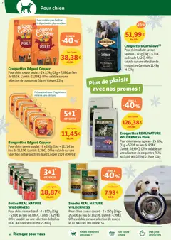 Maxi ZOO - Prévisualisation de Maxi ZOO catalogue valide à partir de 29.10.2025 | Page: 6 | Produits: Mangue, Pomme, Agneau, Céréales