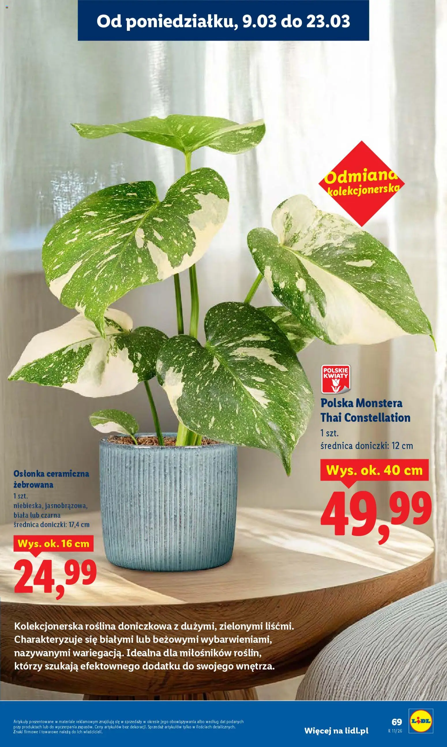Lidl Polsko leták od 09.03.2026 | Strana: 69 | Produkty: Monstera