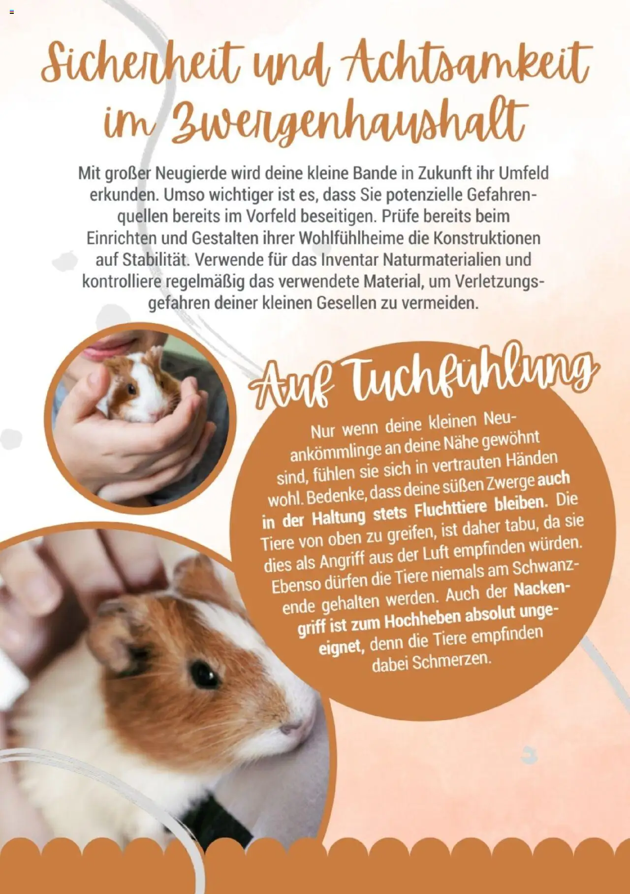 zookauf Kleintier Fibel - gültig ab dem 05.06.2025 | Seite: 5
