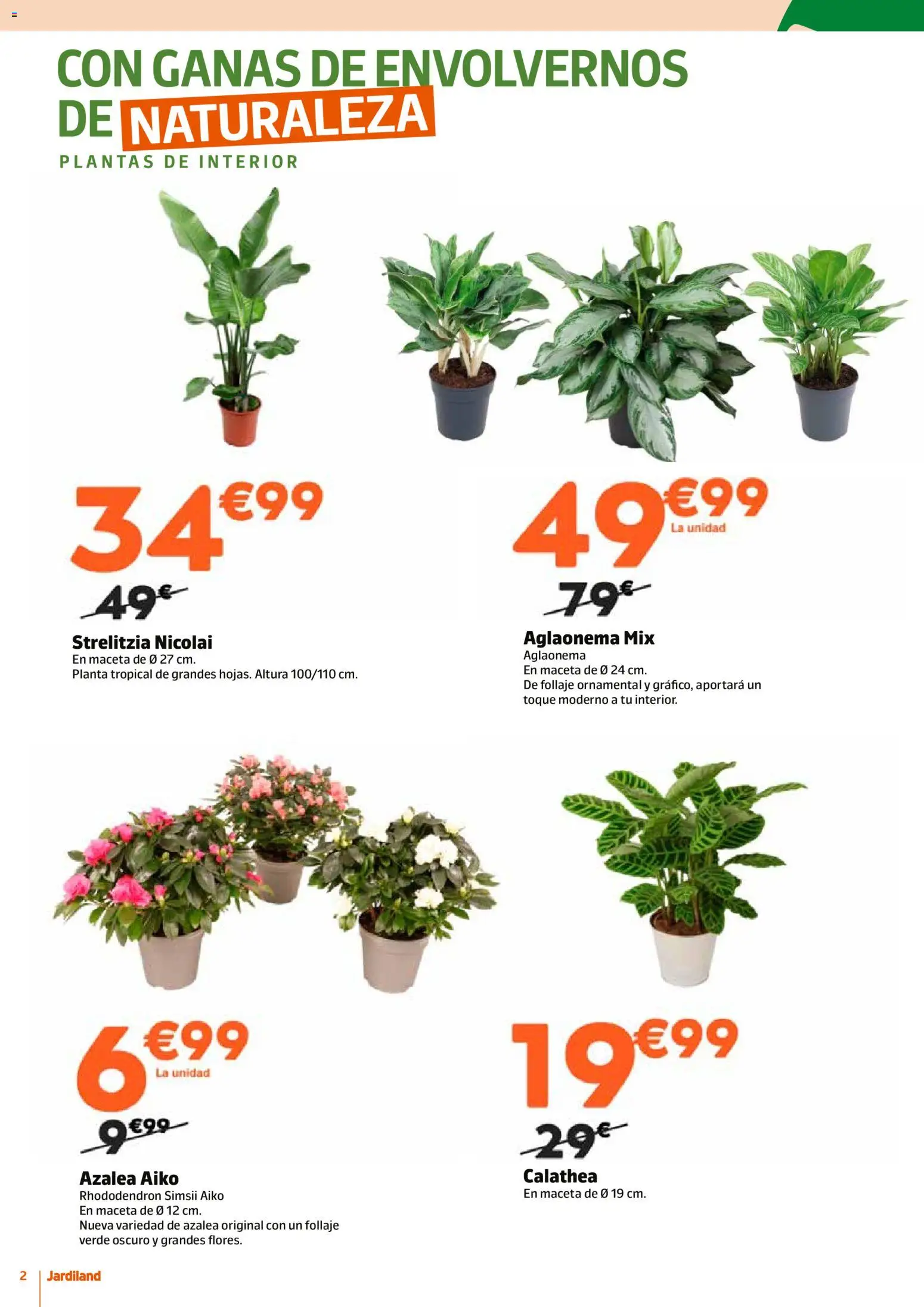 Jardiland folleto │ válido desde el 15.01.2026 | Página: 2 | Productos: Maceta