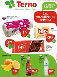 Terno leták platný od 13.11.2025