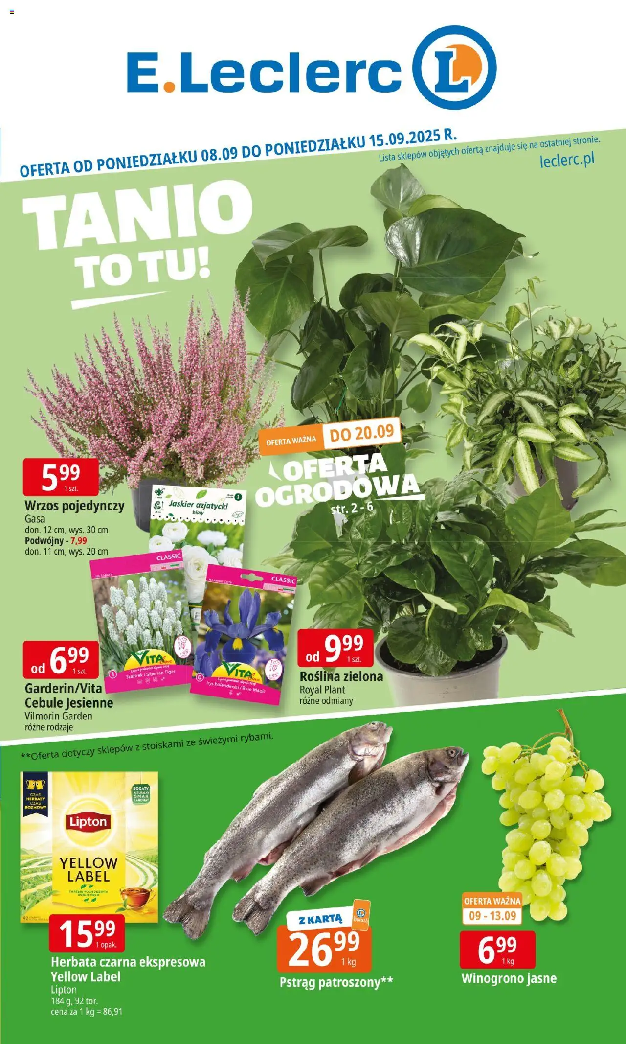 E.Leclerc Gazetka - Warszawa Ursynów od 08.09.2025 | Strona: 1 | Produkty: Winogrono, Wrzos, Cebule, Torebki