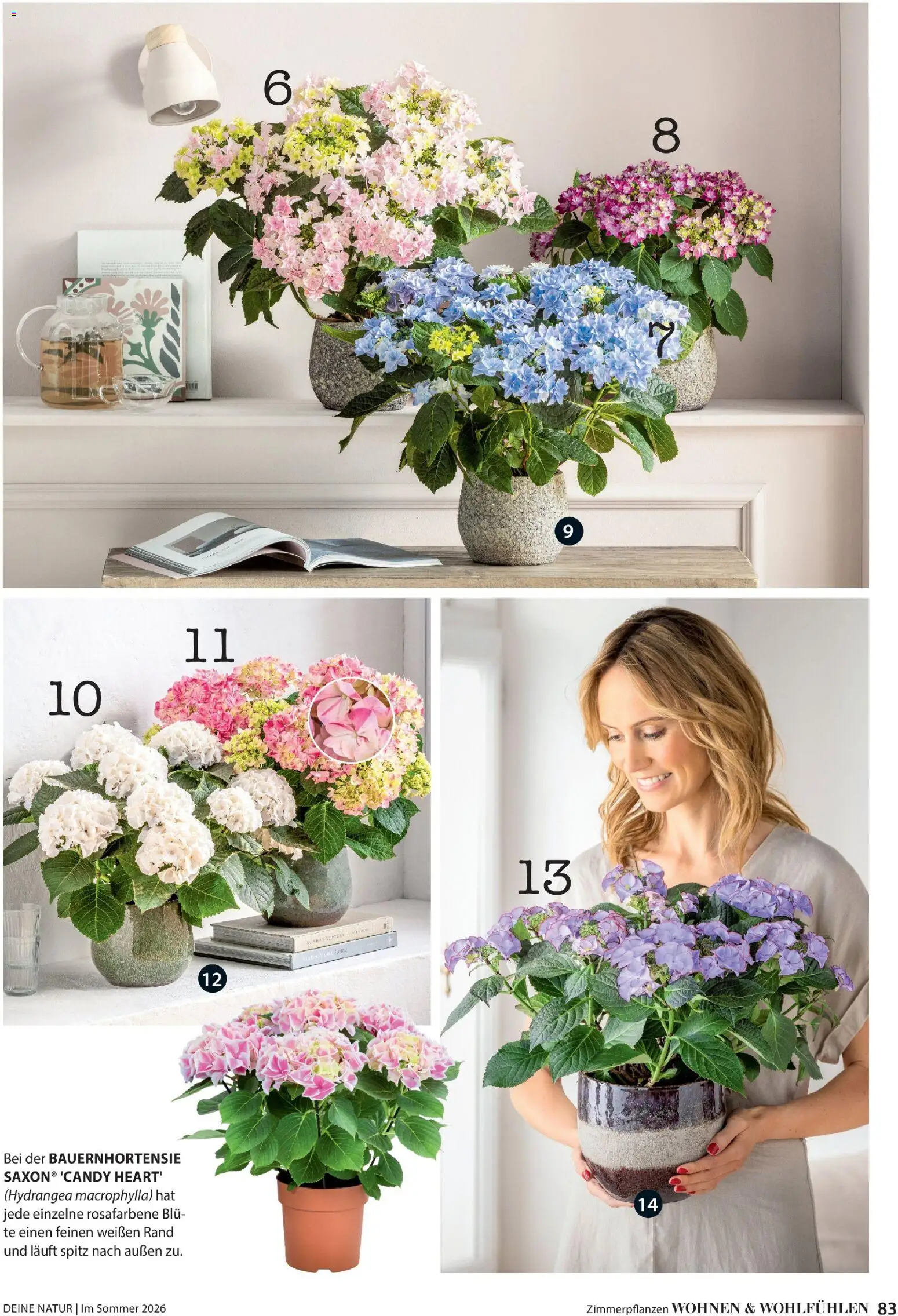 Dehner Prospekt 	 – gültig ab 17.04.2026 | Seite: 83