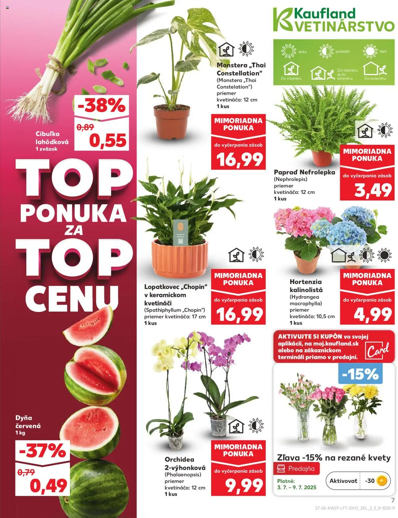 Nové Kaufland akcie – leták je platný od 03.07.2025 | Strana: 7 | Produkty: Kvety, Orchidea