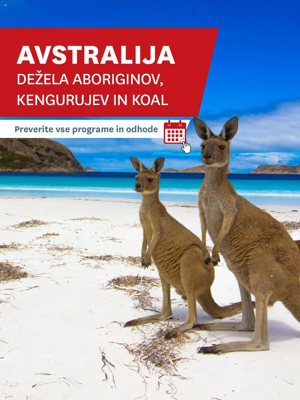 Novi Palma katalog ponudbe – veljaven od 01.01.2025 | Stran: 49