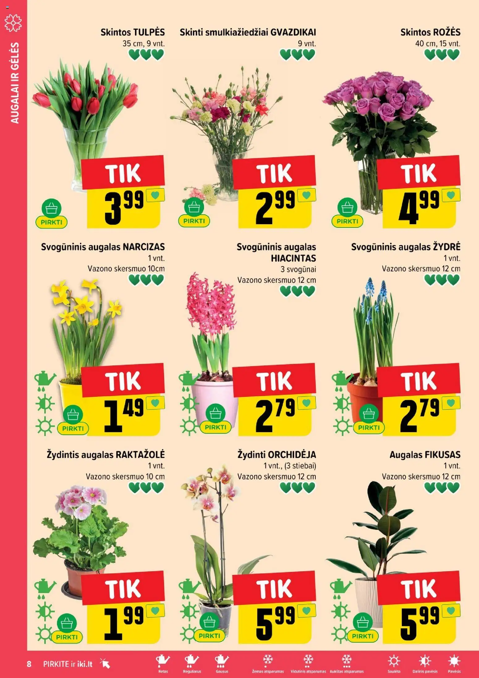 IKI akcijos nuo 01.05.2026 | Puslapis: 8 | Prekių: Svogūnai