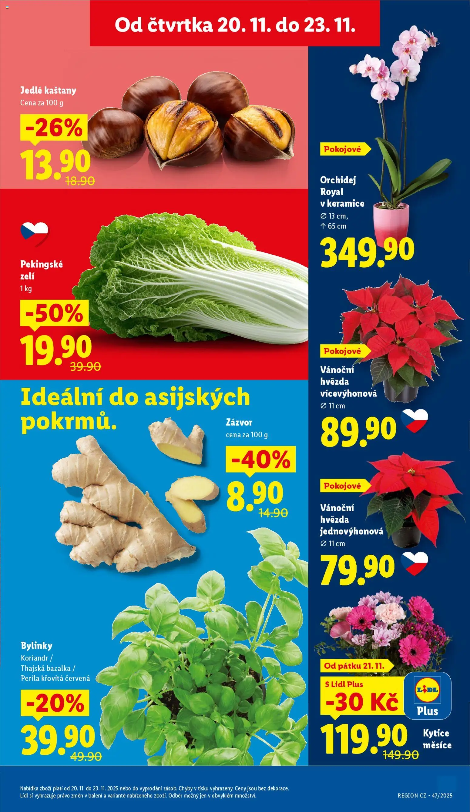 Lidl Black Friday od 20.11.2025 | Strana: 11 | Produkty: Orchidej, Bazalka, Zázvor, Koriandr