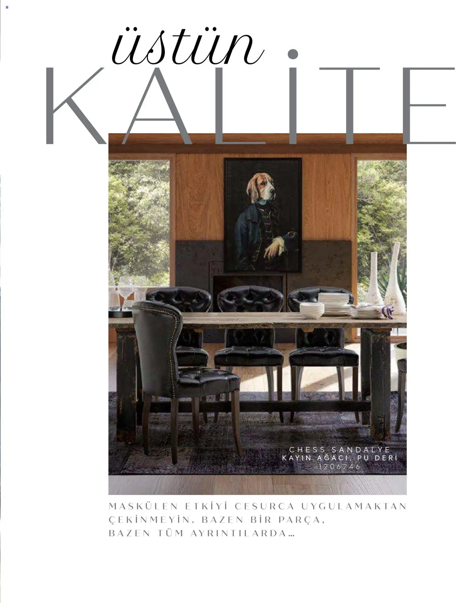 Mudo - Katalog Deri Sıklığı 2026 - 01.01.2026 tarihinden itibaren geçerlidir | Sayfa: 51 | Ürünler: Sandalye