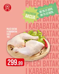 Metalac Proleter praznična  akcija  - pregled Metalac Proleter kataloga - važi od 26.12.2025