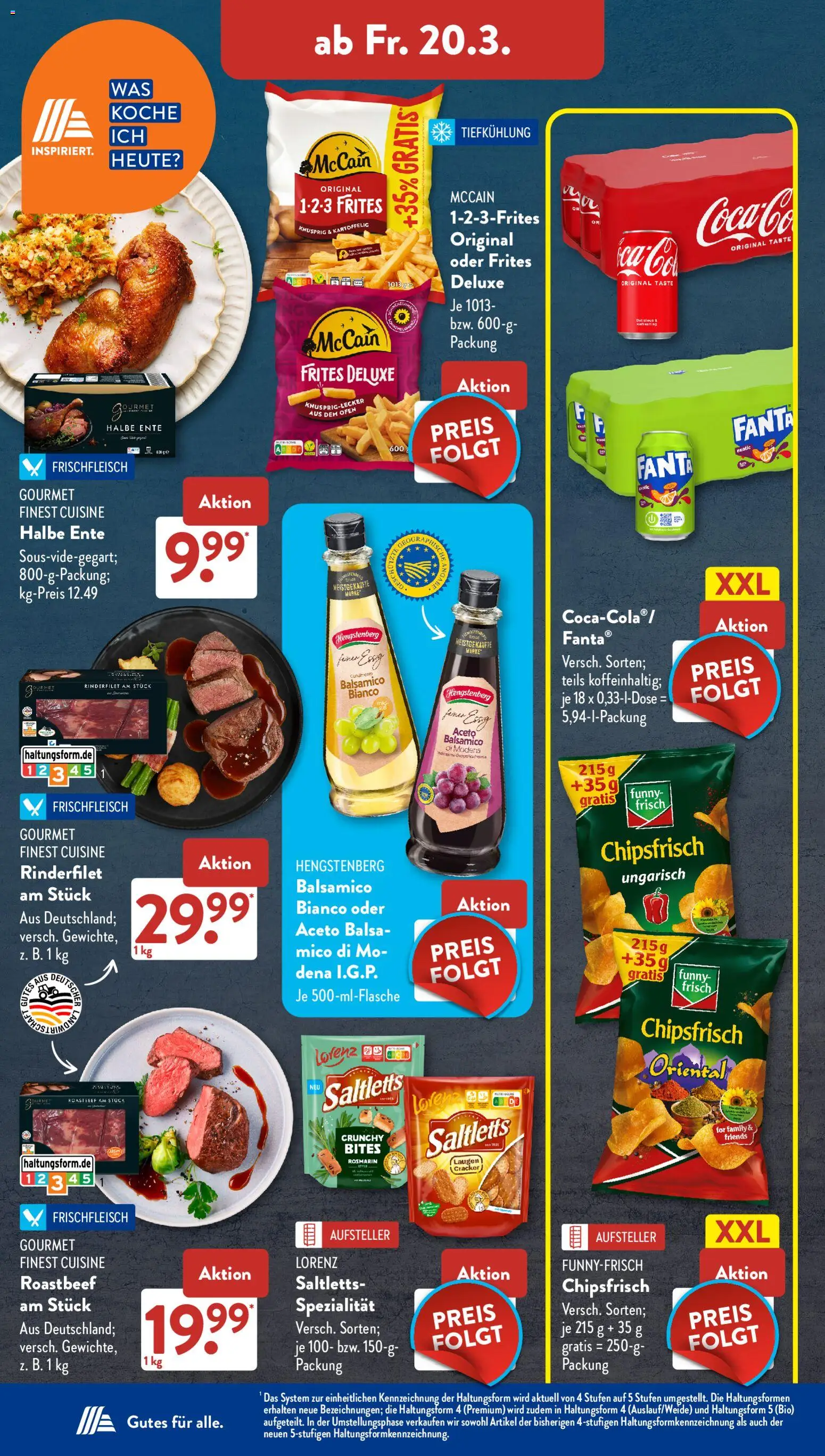 Aldi Süd Prospekt 	 – gültig ab 16.03.2026 | Seite: 14 | Produkte: Ofen, Rinderfilet, McCain, Ente