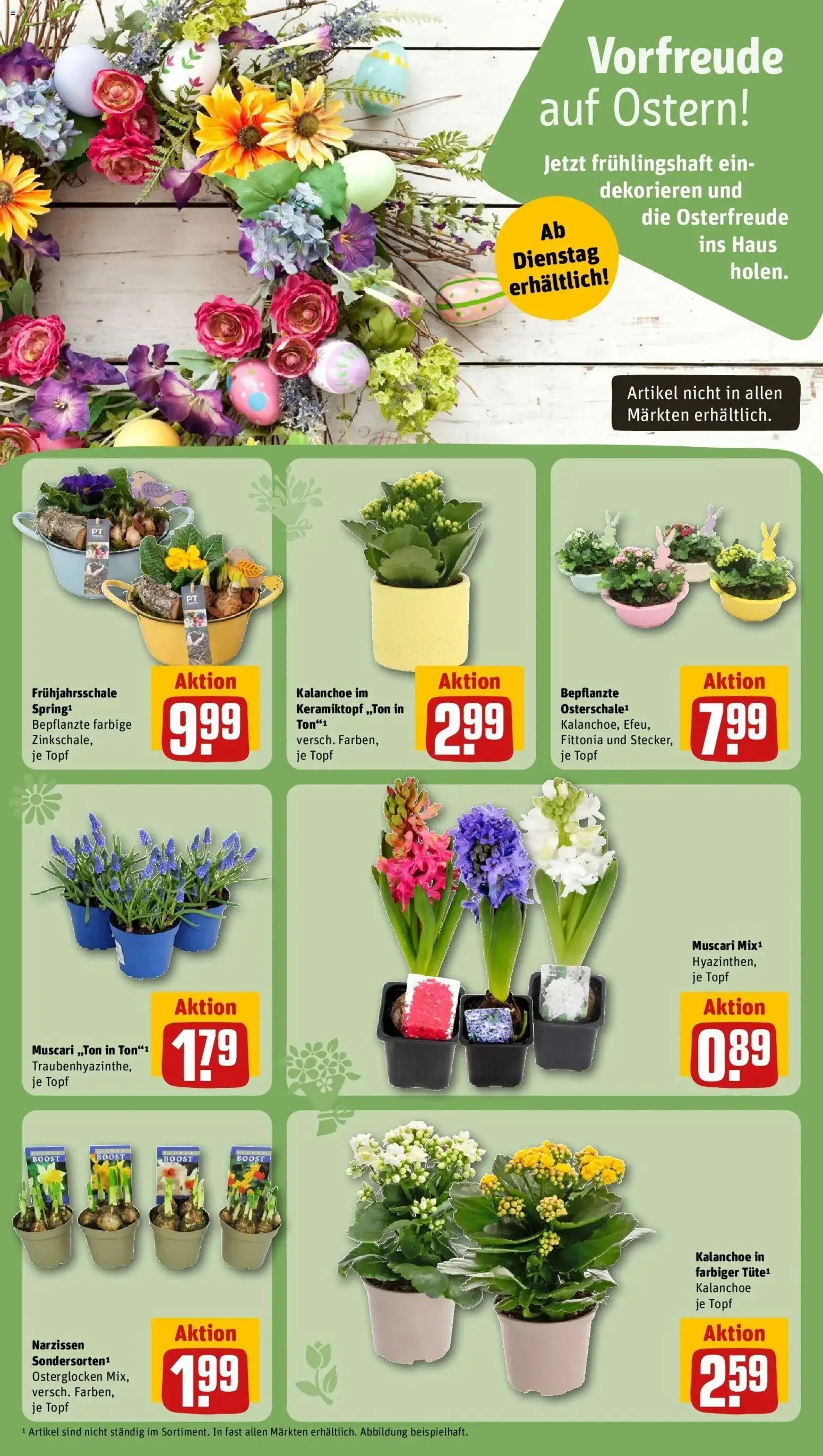 Rewe Prospekt Bremen	 – gültig ab 16.03.2026 | Seite: 11