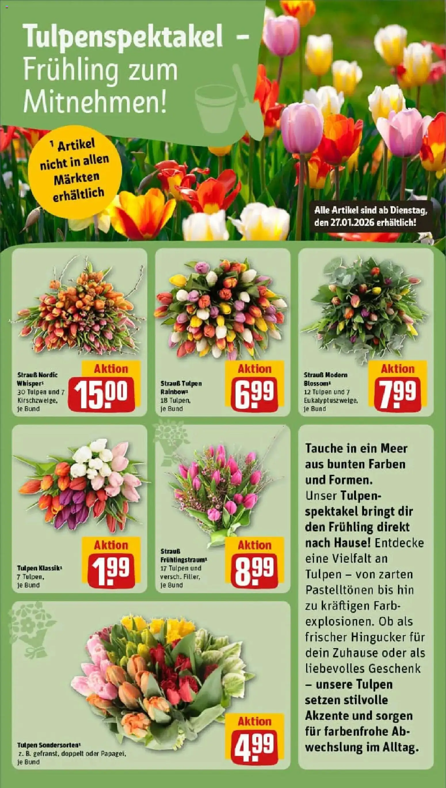 Rewe prospekt Bünde	 – gültig ab 26.01.2026 | Seite: 8