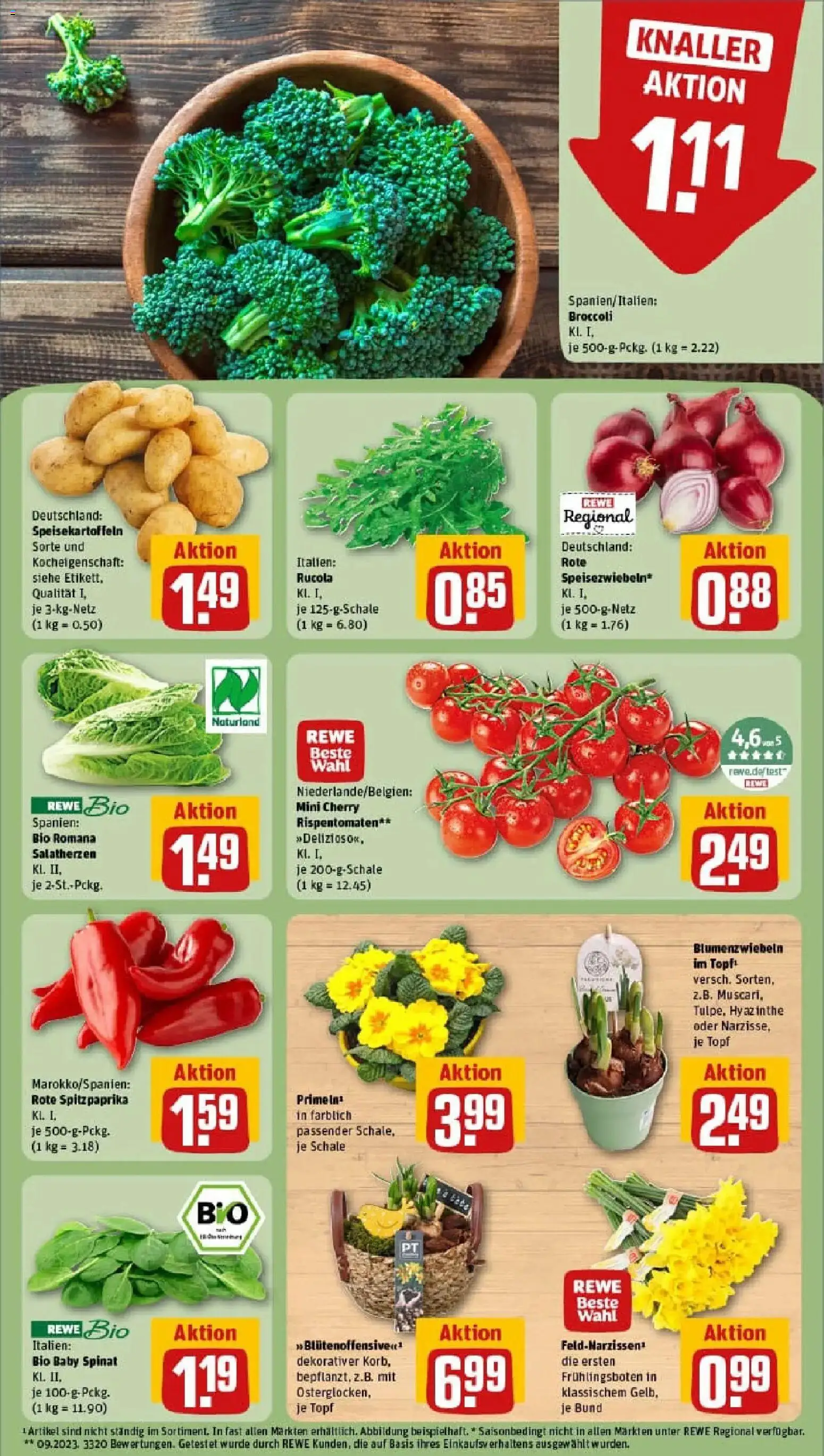 Rewe prospekt Kassel / Wehlheiden	 – gültig ab 26.01.2026 | Seite: 7 | Produkte: Rucola