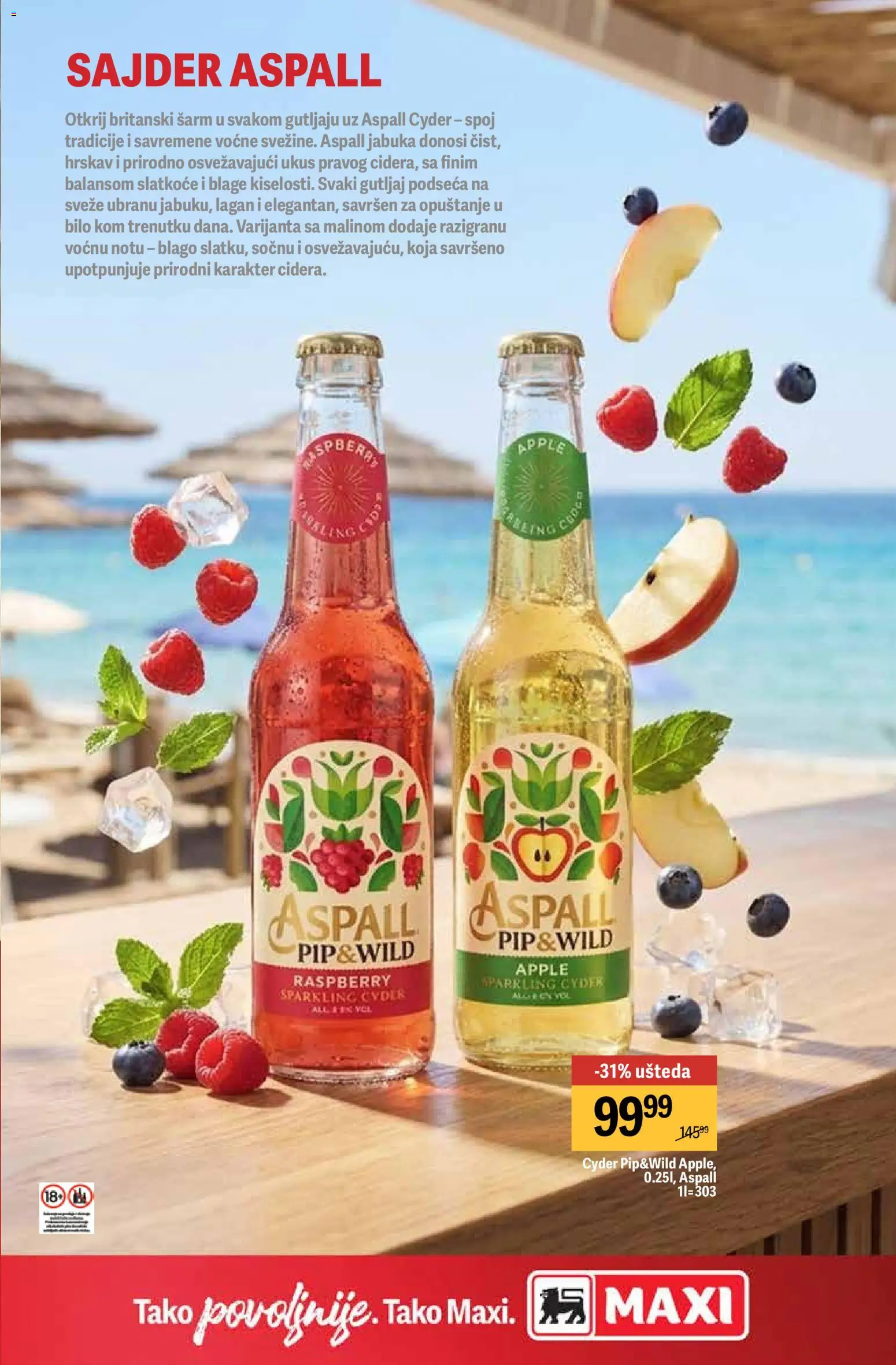 Mega Maxi katalog - važi od 27.04.2026 | Strana: 13