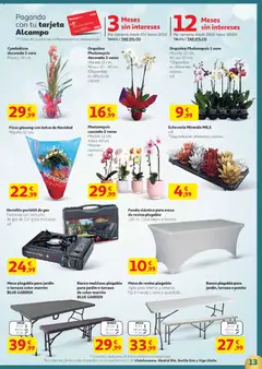 Vista previa Alcampo - Canarias válido desde el 18.12.2025 | Página: 13 | Productos: Funda, Bolsa, Mesa, Maceta