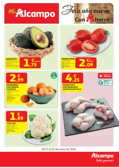 Vista previa Alcampo - Nacional válido desde el 02.01.2026