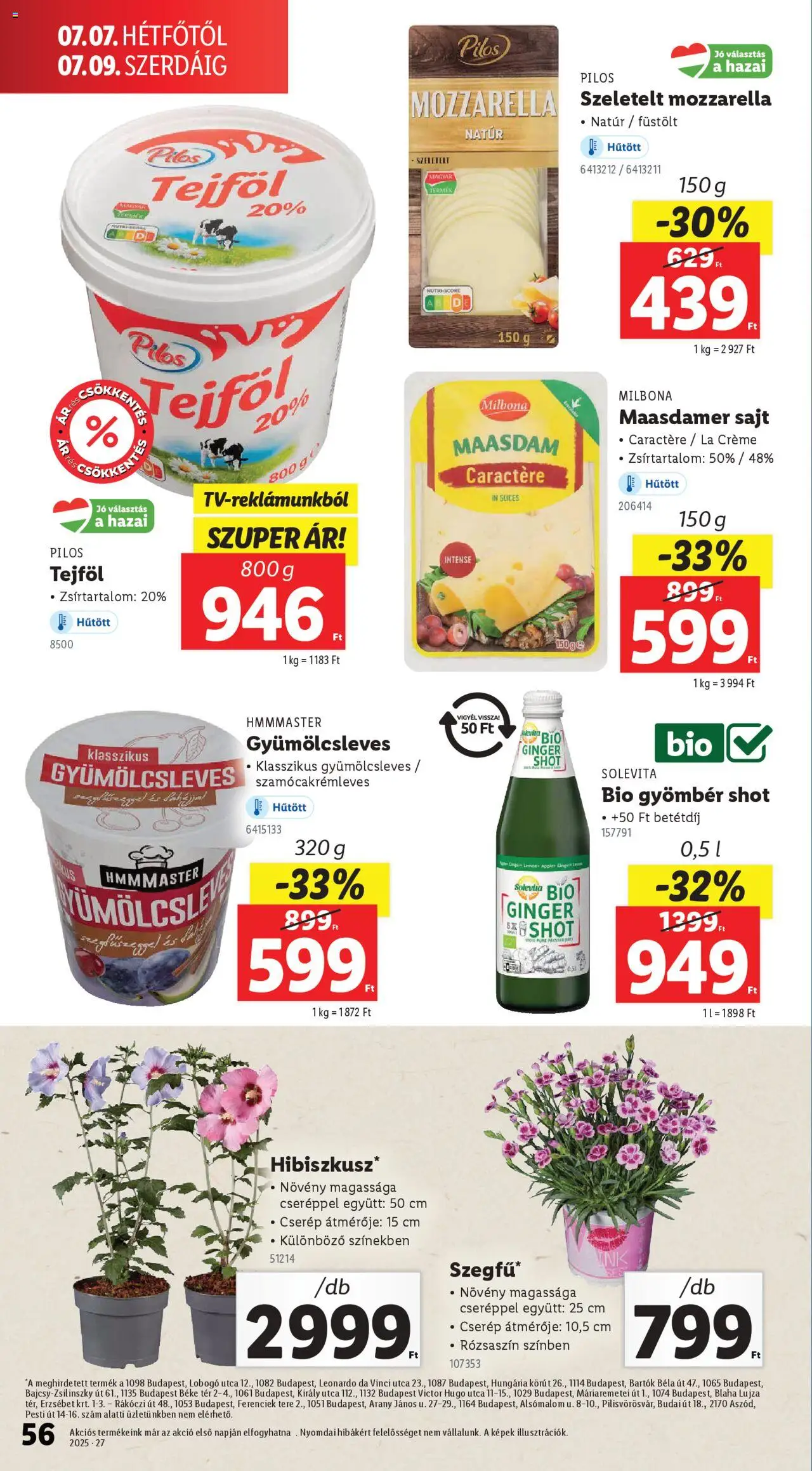 Lidl akciós ujság - amely érvényes a következő dátumtól: 03.07.2025 | Oldal: 56 | Termékek: Mozzarella, Gyömbér, Gyömbér shot, Tejföl
