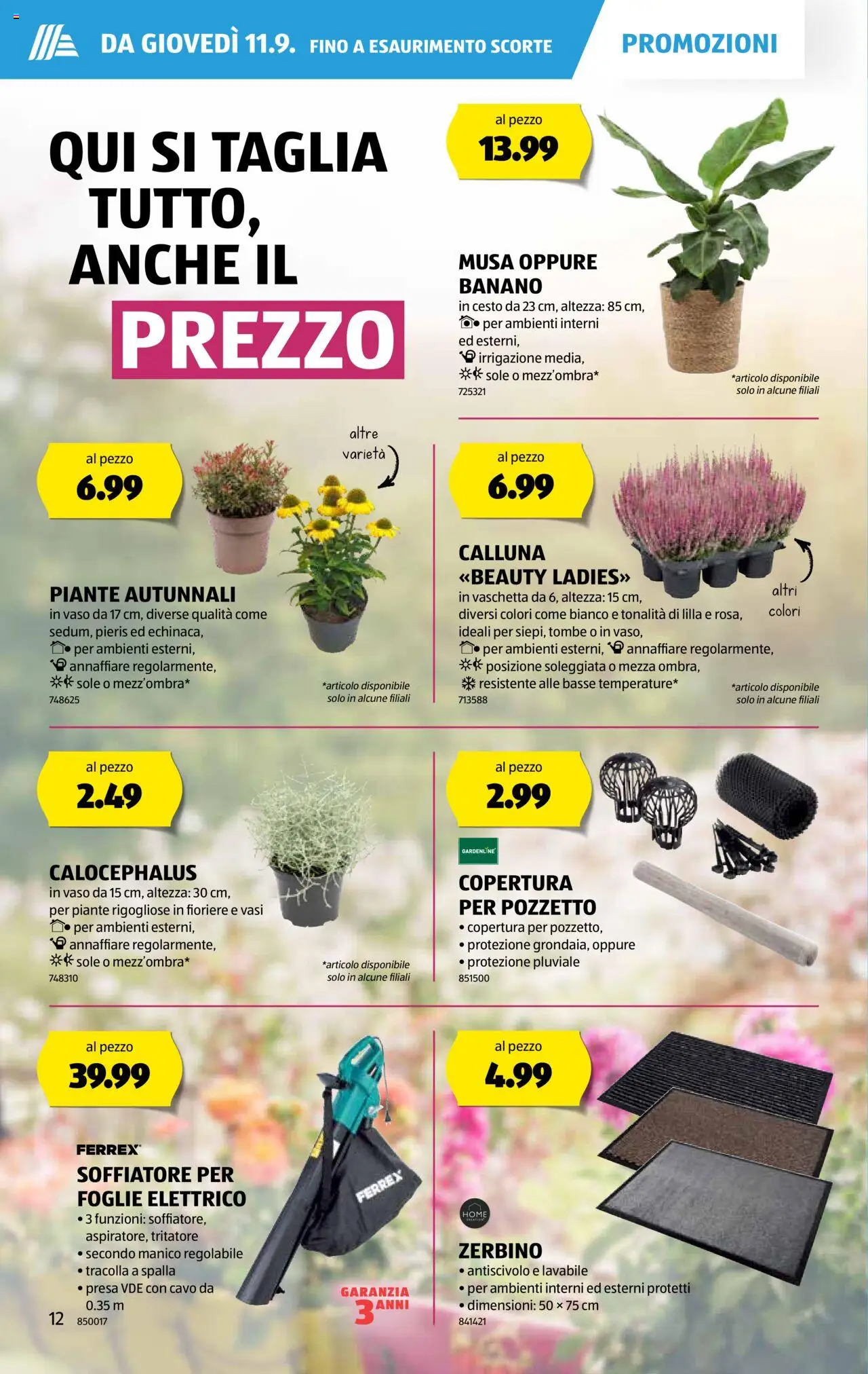 Aldi Aktionen IT – gültig ab 11.09.2025 | Seite: 13