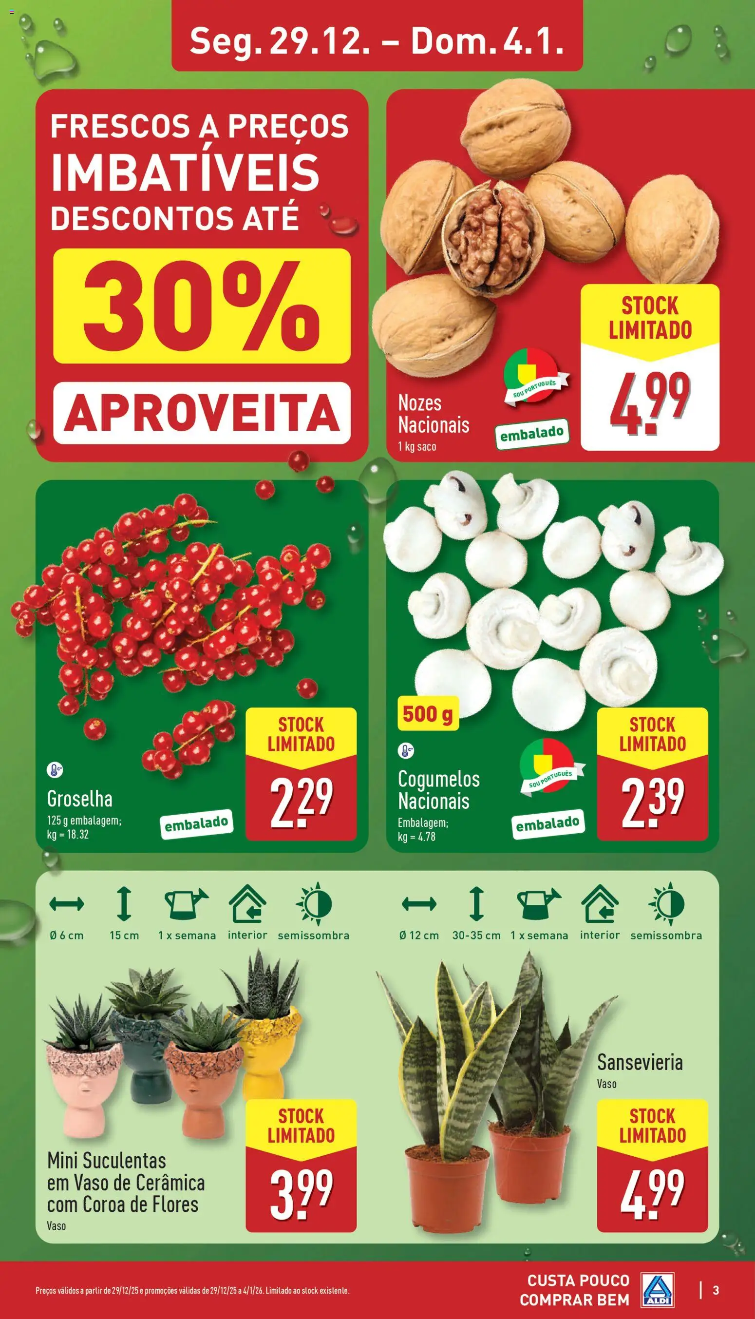 Aldi folheto │ válido de 29.12.2025 | Página: 3 | Produtos: Flores, Vaso, Cogumelos, Nozes