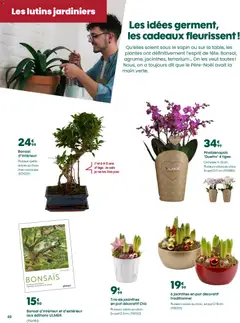 Truffaut - Prévisualisation de Truffaut catalogue valide à partir de 12.12.2025 | Page: 2 | Produits: Bonsai, Plantes, Orchidée