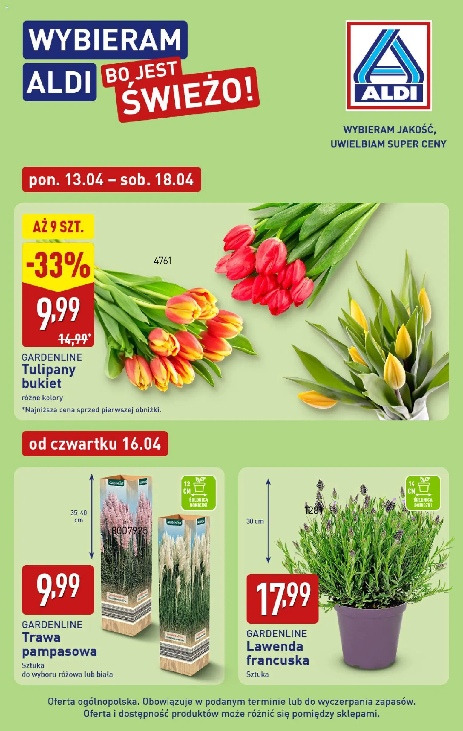 Aldi gazetka od 13.04.2026 | Strona: 6