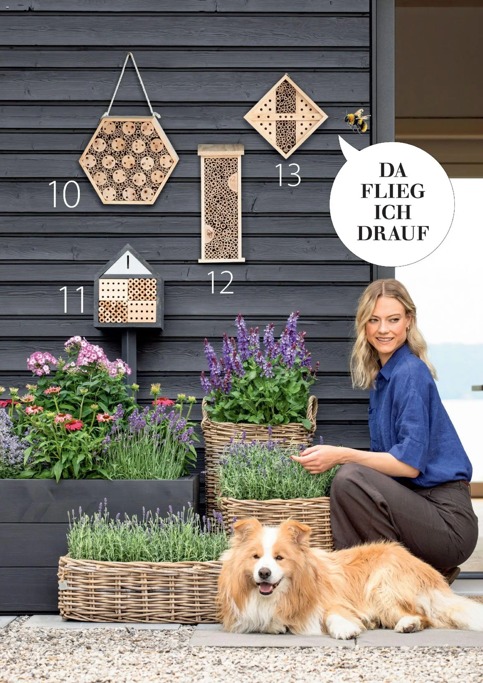 Dehner Flugblatt gültig ab 05.03.2026 | Seite: 95