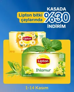 01.11.2025 tarihinden itibaren geçerli olan Gürmar kataloğu önizlemesi | Sayfa: 5 | Ürünler: Ihlamur, Kumina