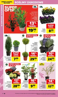 Pogląd oferty "Carrefour gazetka - Gdzie Kwitnie Życie" - ważna od 07.04.2026 | Strona: 14 | Produkty: Doniczka, Rosliny