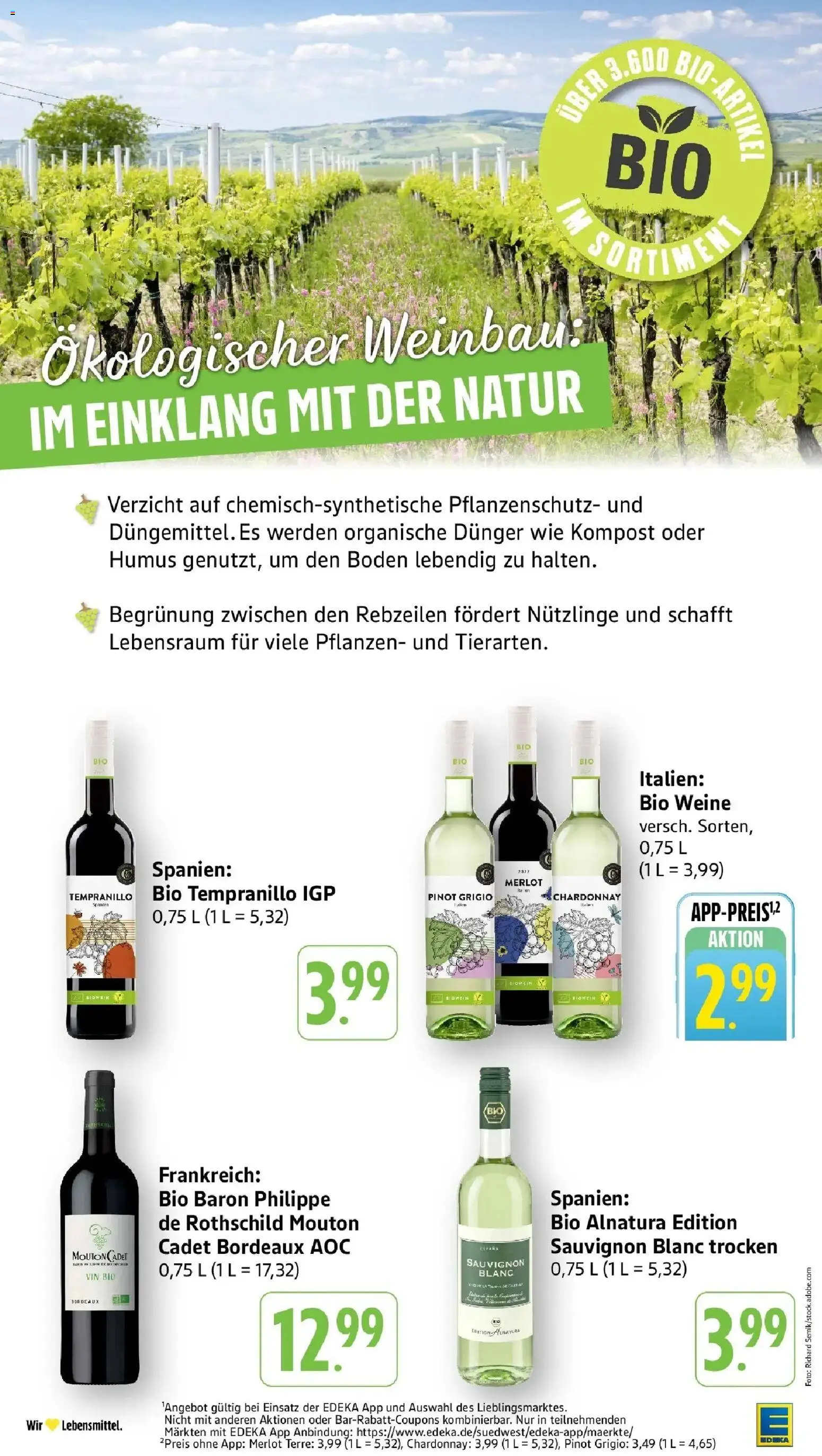 Edeka prospekt Mengen	 – gültig ab 02.03.2026 | Seite: 32 | Produkte: Merlot