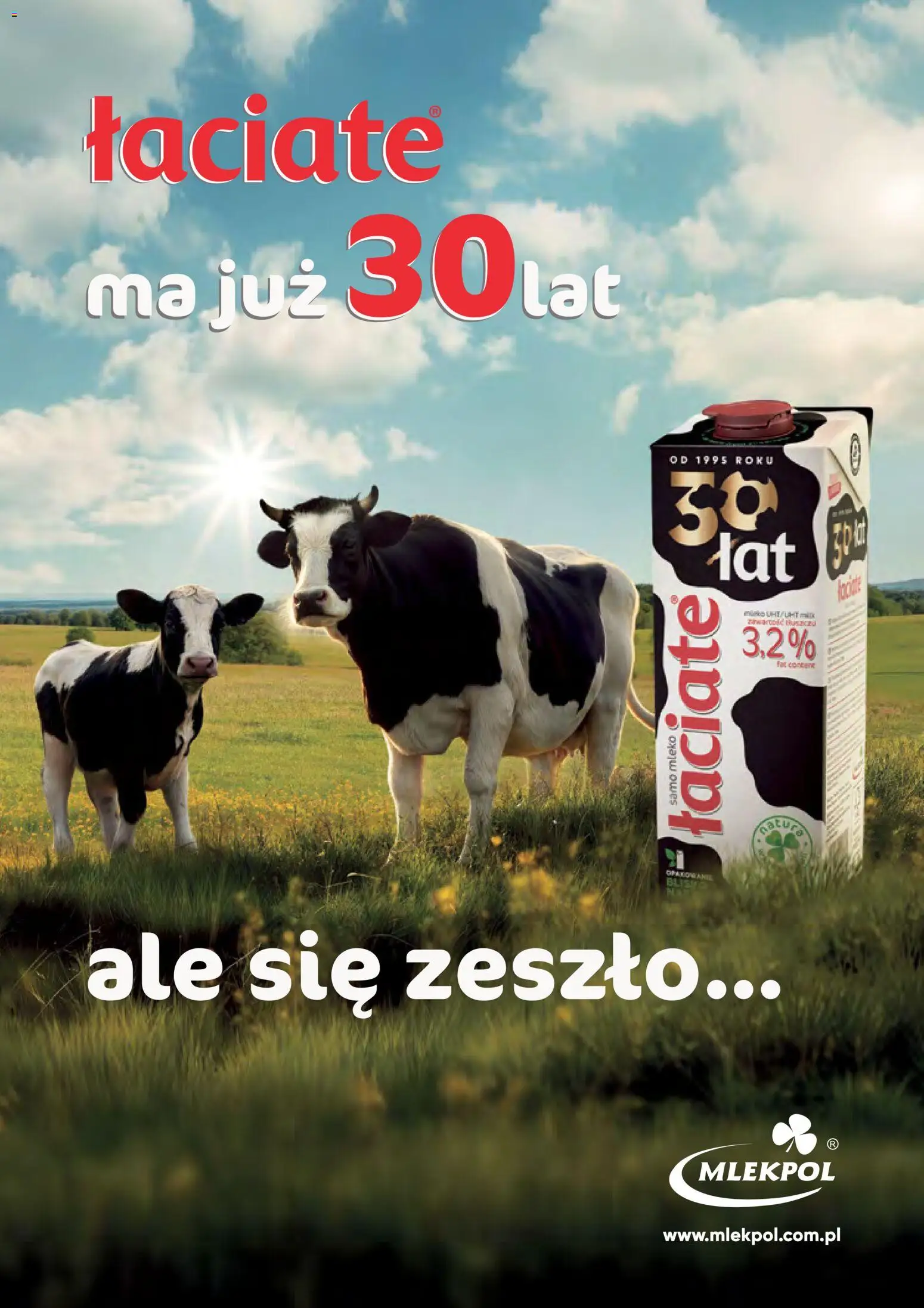 Eurocash Gazetka - Czas Świętowania od 03.11.2025 | Strona: 13 | Produkty: Mleko