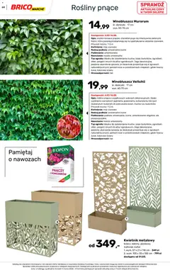 Pogląd oferty "Brico Marché gazetka - Wiosna" - ważna od 04.03.2026 | Strona: 60 | Produkty: Rosliny, Doniczki