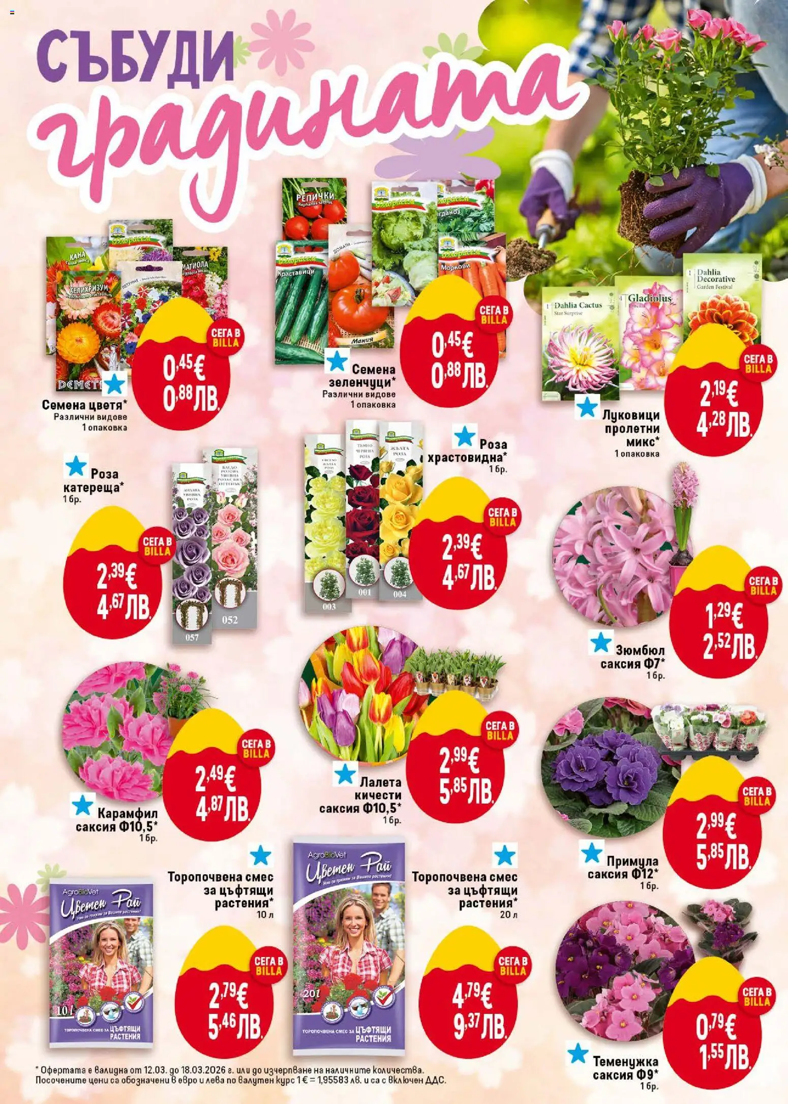 {H1} | Страница: 40 | Продукти: Краставици, Карамфил, Роза, Саксия