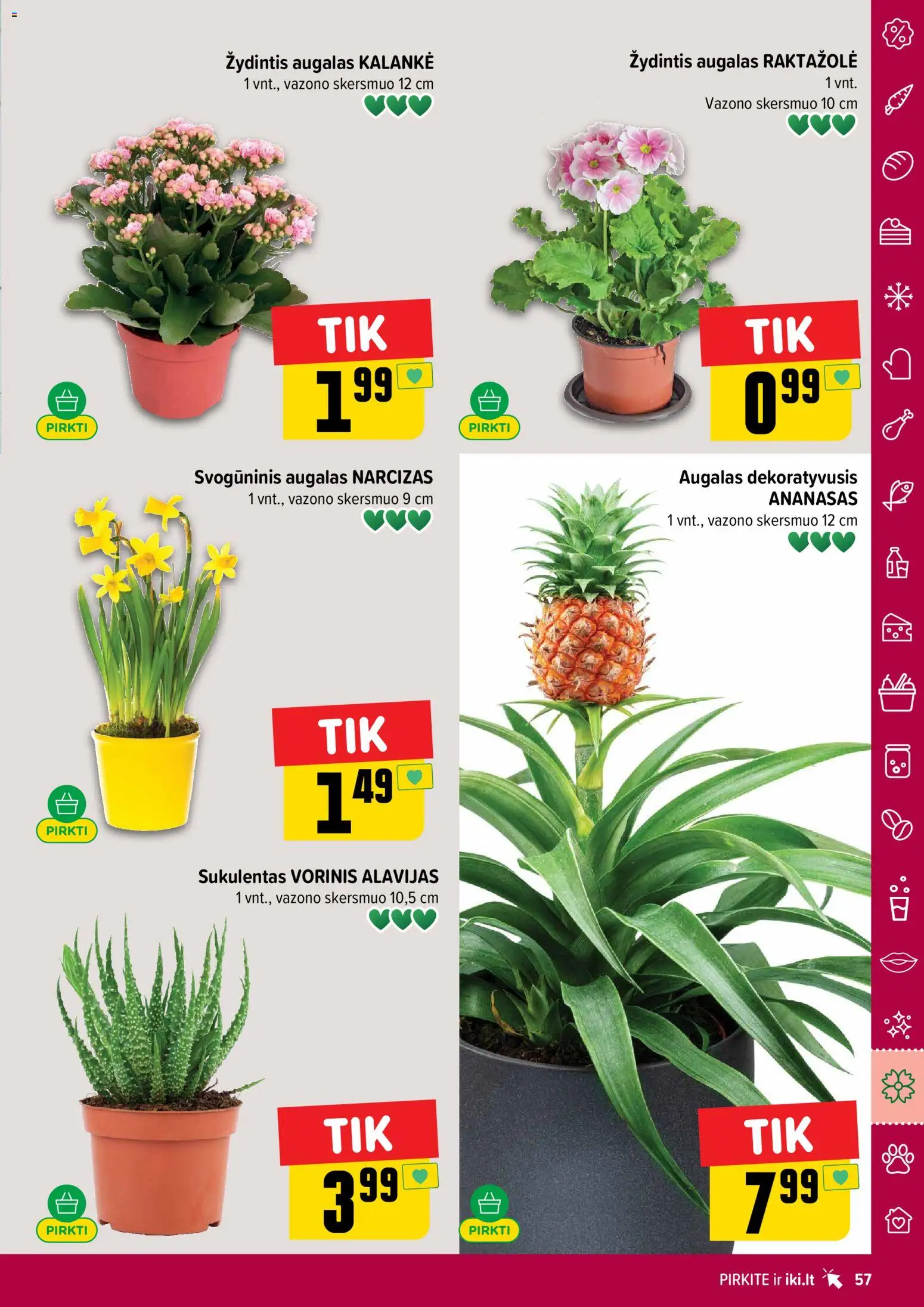 IKI akcijos nuo 16.02.2026 | Puslapis: 57