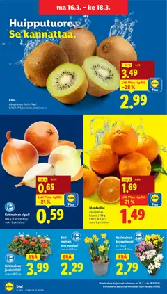 Lidl-mainoslehti voimassa 12.03.2026 alkaen | Sivu: 21 | Tuotteet: Kiivi