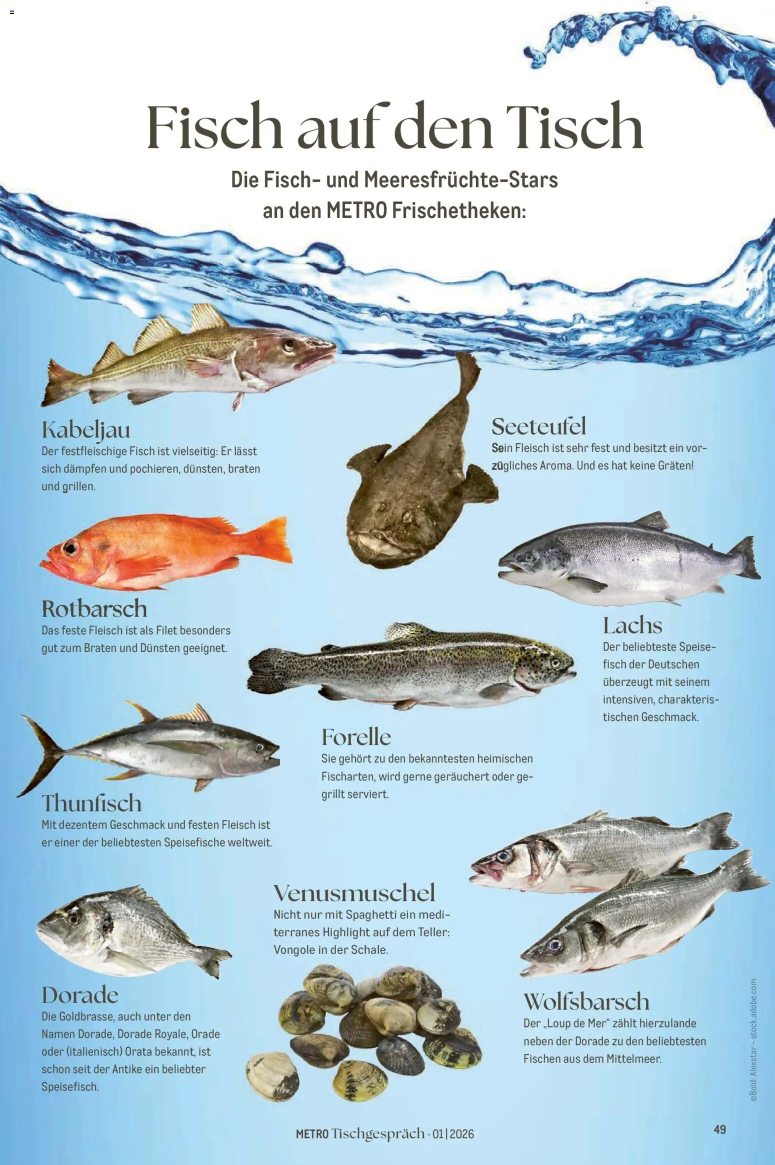 Metro Tischgespräch – gültig ab 01.02.2026 | Seite: 49 | Produkte: Dorade, Thunfisch, Tisch, Lachs