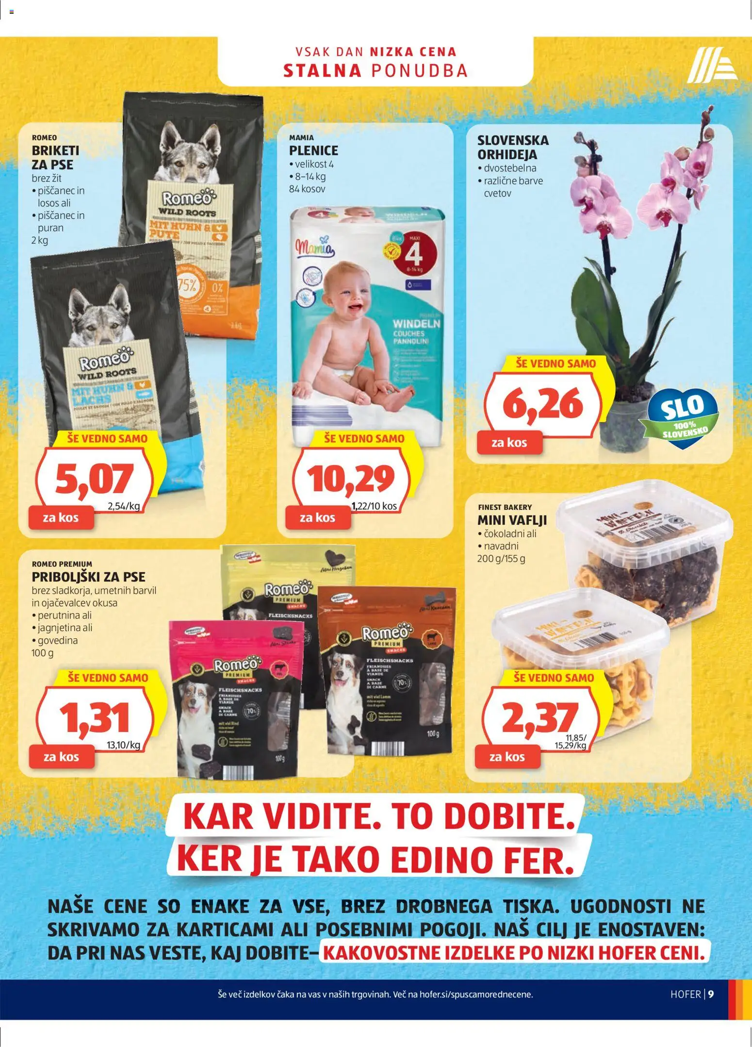 Hofer SI katalog | vrijedi od 22.04.2026 | Stranica: 9 | Proizvodi: Orhideja, Govedina, Losos, Briketi