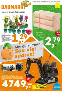 Globus Baumarkt prospekt Wittlich	 ab 01.02.2026 gültig