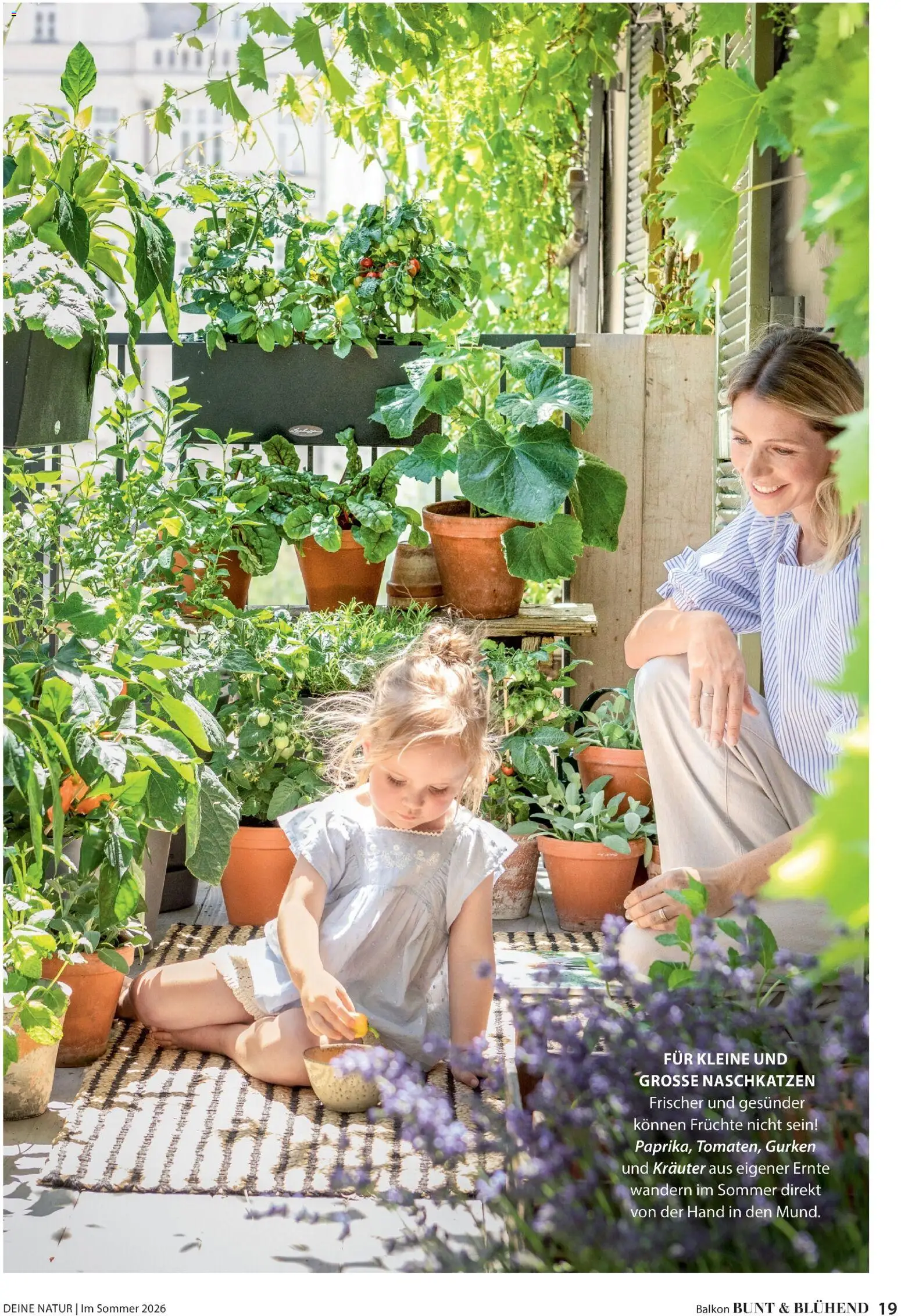 Dehner Prospekt 	 – gültig ab 17.04.2026 | Seite: 19 | Produkte: Gurken