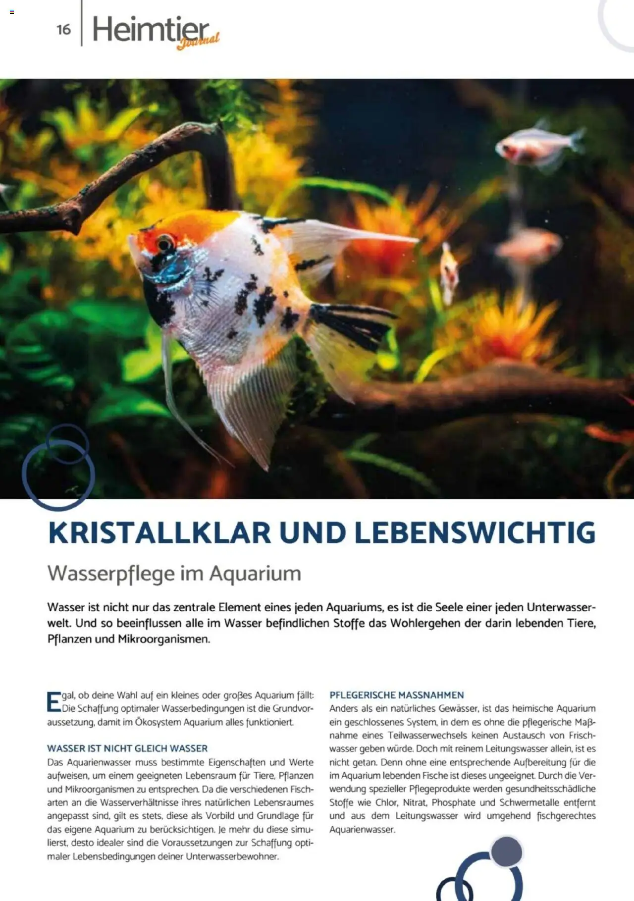 zookauf  Heimtier Journal - gültig ab dem 21.07.2025 | Seite: 16 | Produkte: Fisch, Wasser