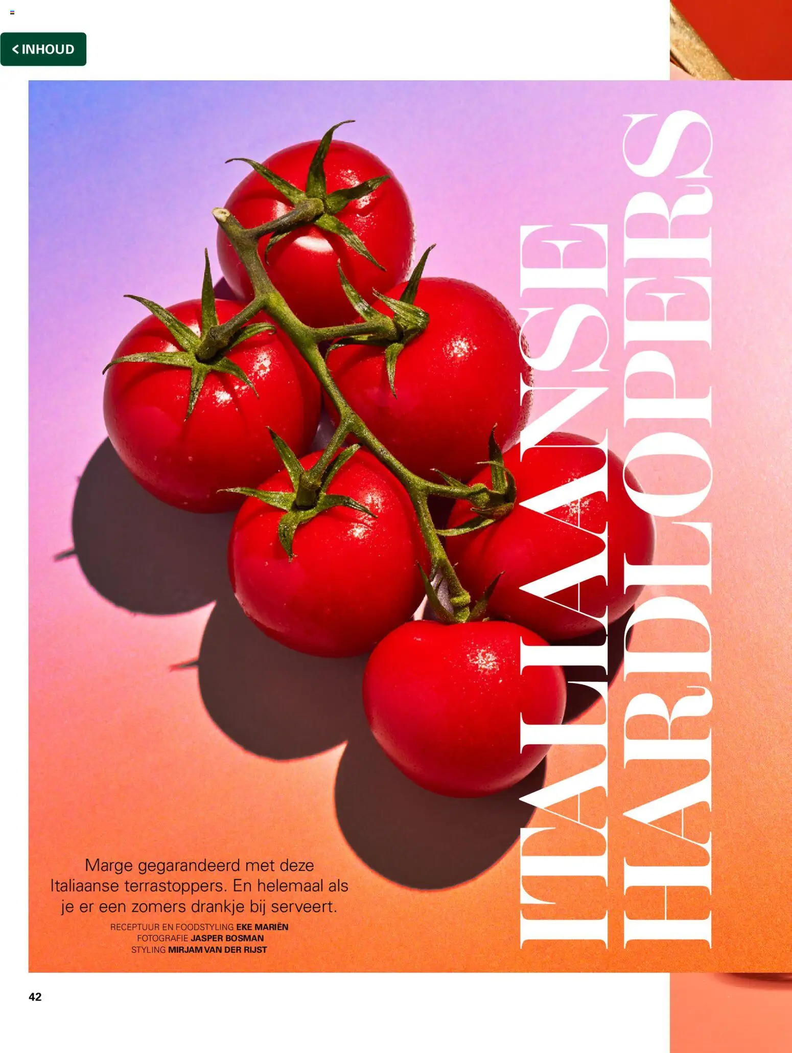 {H1} | Pagina: 42 | Producten: Rijst