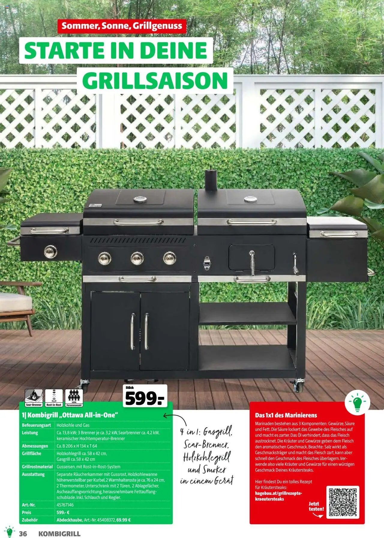 Hagebau Gartenkatalog 2025 gültig ab 05.03.2025 | Seite: 36