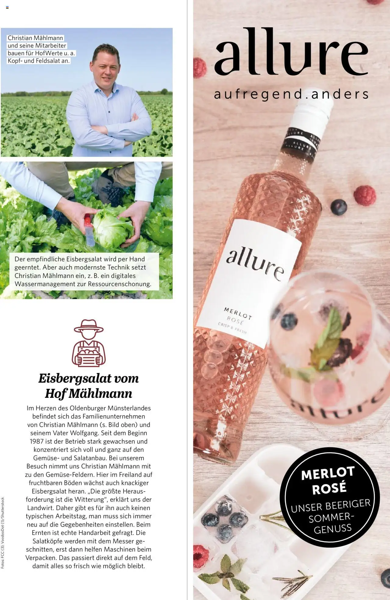 Combi - myTime Juni 2025 - gültig ab dem 01.06.2025 | Seite: 41 | Produkte: Merlot, Eisbergsalat, Gemüse