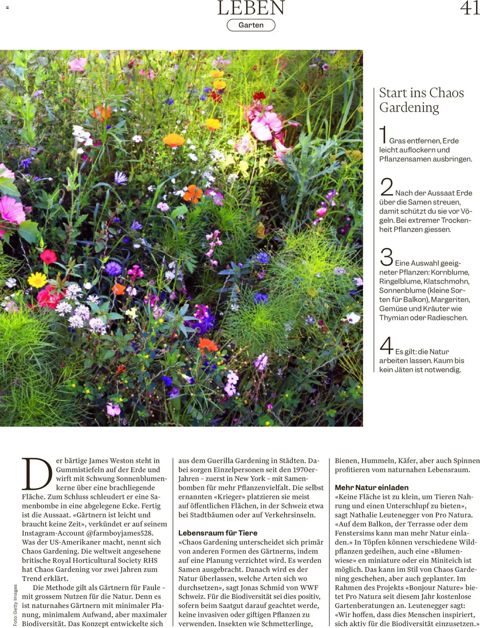 Migros aktionen Magazin – gültig ab 29.04.2026 | Seite: 41 | Produkte: Gemüse