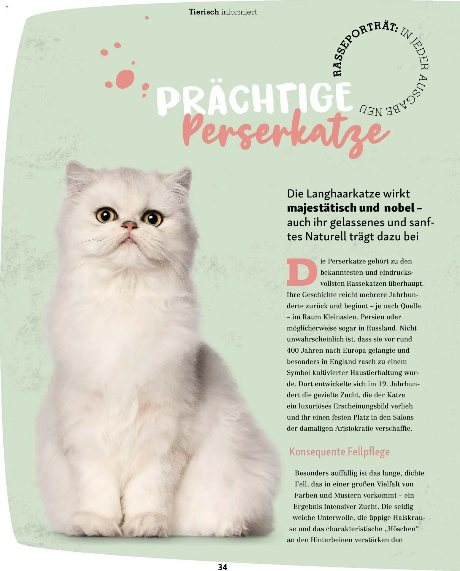 Fressnapf Friends Magazin – gültig ab 02.03.2026 | Seite: 34