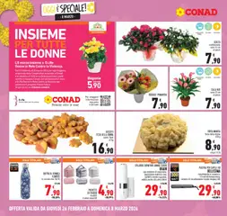 Anteprima del volantino PIASTRA PER CAPELLI B9, rivestimento in ceramica, 5 livelli di temperatura, sistema di riscaldamento rapido, display LED valido a partire dal 26.02.2026 | Pagina: 6 | Prodotti: Biscotti, Epilatore, Piastra per capelli, Bottiglia