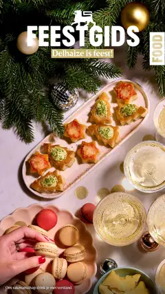 Delhaize Feestgids - Food - Voorbeeld van een folder van Delhaize, geldig van 13.11.2025