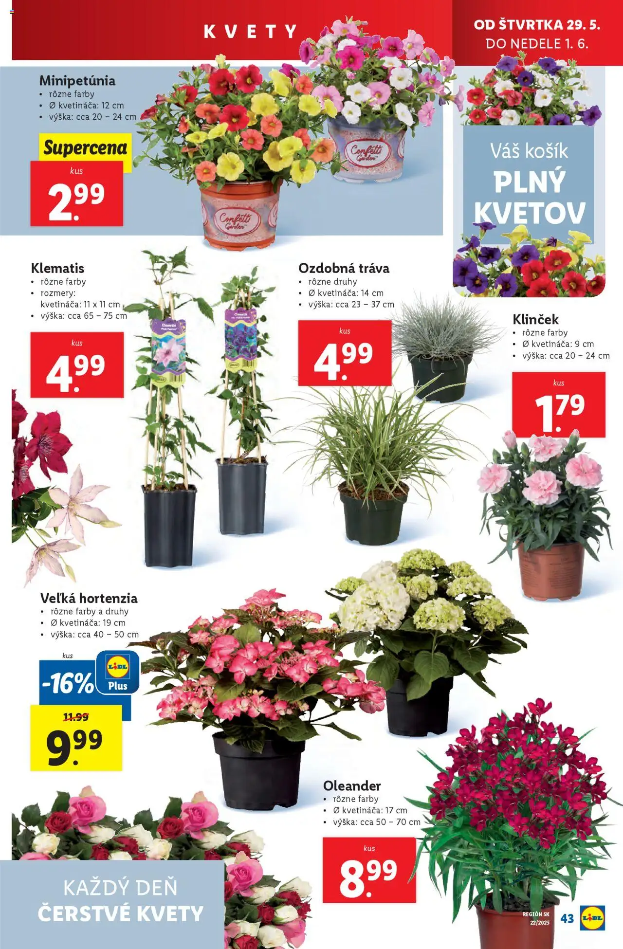 Nové Lidl akcie – leták je platný od 26.05.2025 | Strana: 61