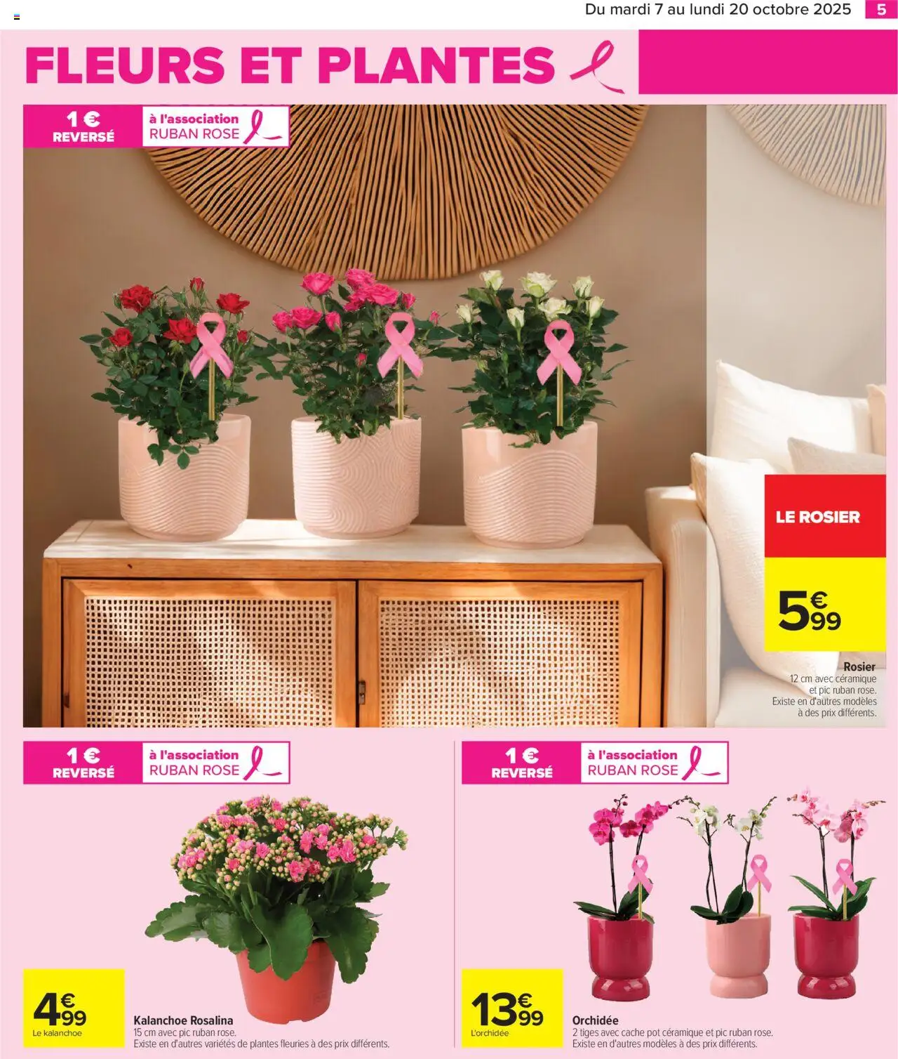 {H1} | Page: 7 | Produits: L'orchidée, Plantes, Fleurs et plantes, Orchidée